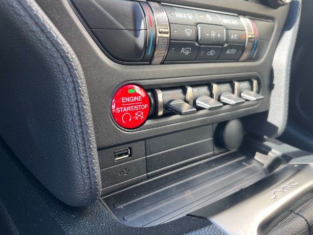Véhicule FORD MUSTANG SHELBY à vendre