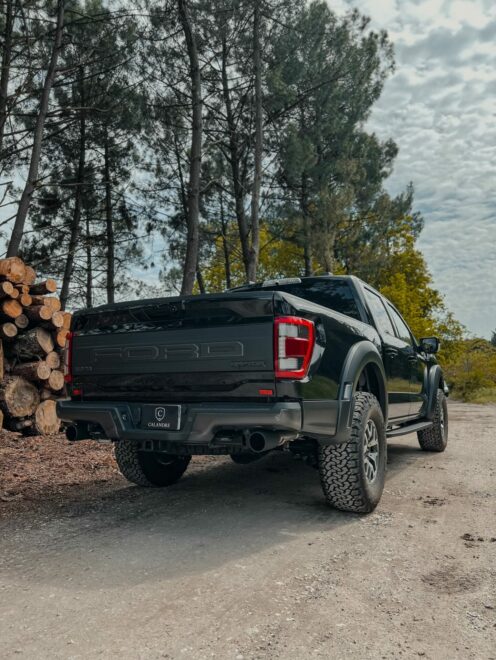 FORD F150 RAPTOR