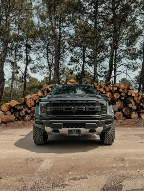 FORD F150 RAPTOR